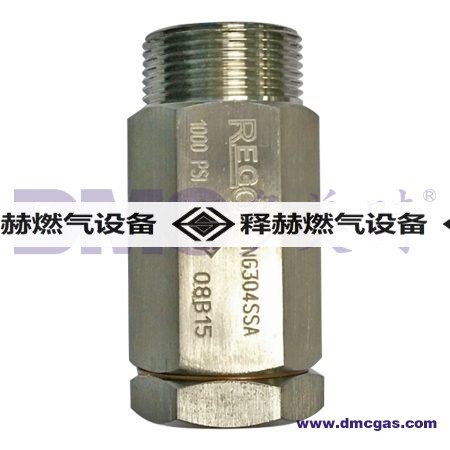美国REGO单向阀NG304SS工业杜瓦瓶|LNG车载瓶|储罐配套设备